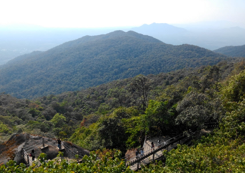 Cardamom Mountains, Cambodia